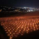 Agricultor ROMÂN, 40.000€ „arși” într-o noapte: Suma URIAȘĂ pentru recolta de cireșe