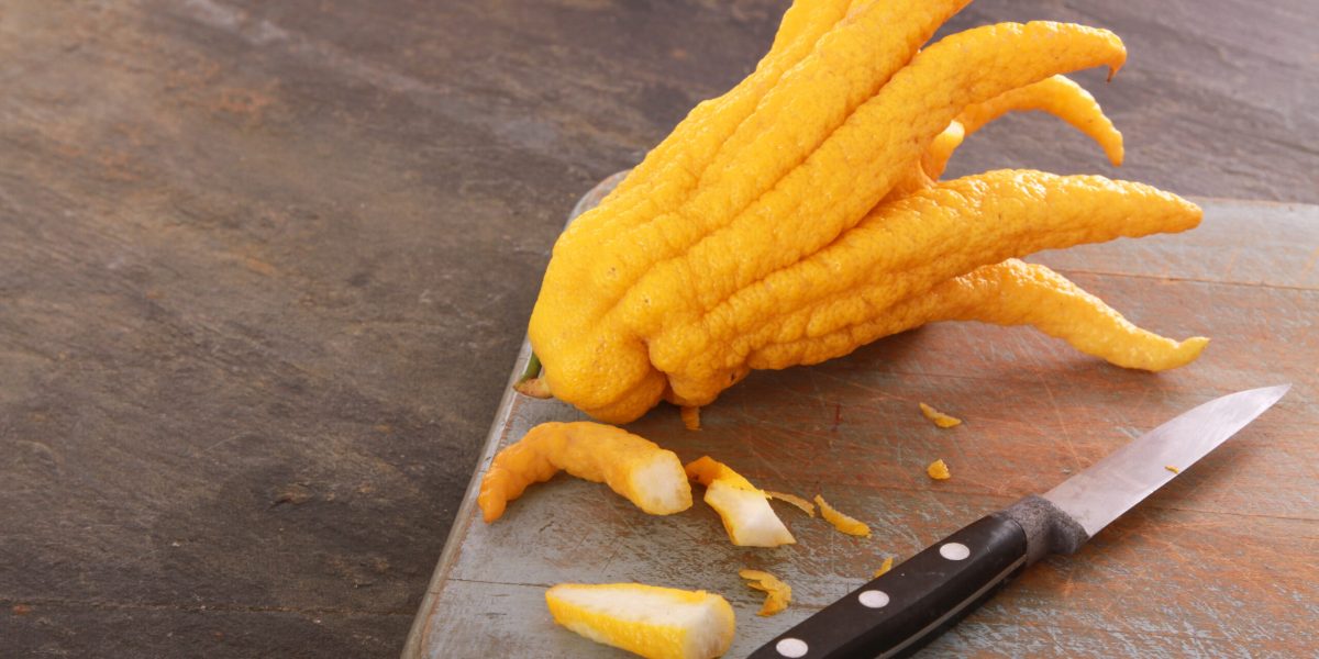 citricele-regleaza-emotiile-shutter_Descopera-scaled.jpg - ReactiveNews