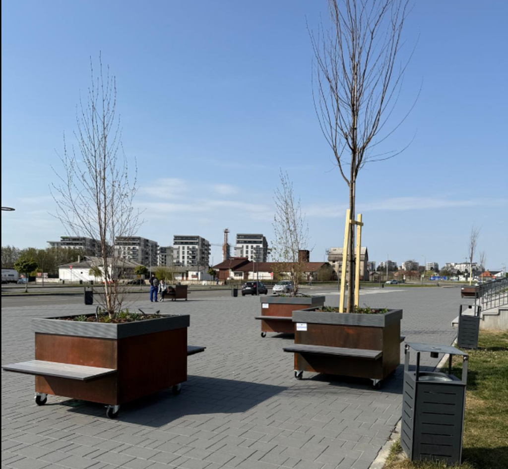 Copaci cu ROȚI, de 2.600 €: BOMBA ecologică sau simplă afacere în România