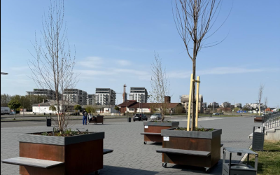 Copaci cu ROȚI, de 2.600 €: BOMBA ecologică sau simplă afacere în România