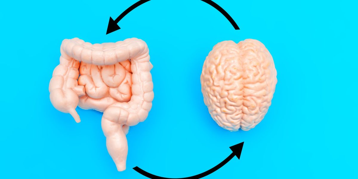 Mâncarea din copilărie, amprentă pe creier: un studiu revoluționar
