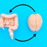 Mâncarea din copilărie, amprentă pe creier: un studiu revoluționar