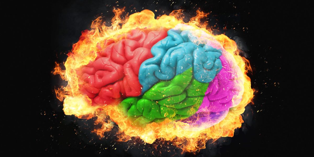 creier-lobul-frontal-shutter_Descopera-scaled.jpg - ReactiveNews