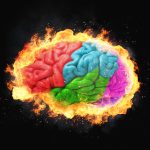 creier-lobul-frontal-shutter_Descopera-scaled.jpg - ReactiveNews