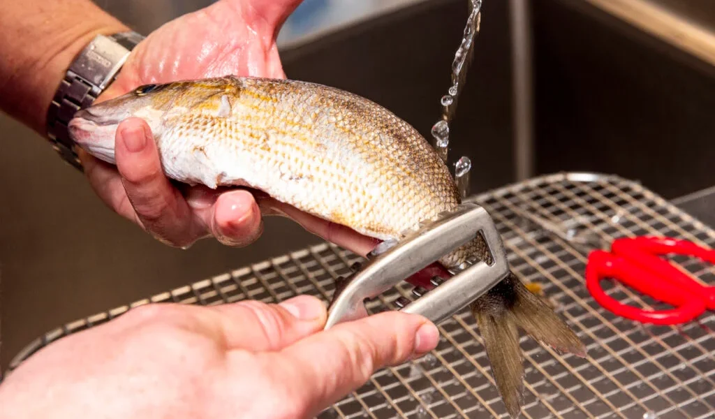 cum-sa-cureti-peste.webp.webp - ReactiveNews