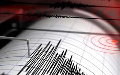 Cutremur de 3,3 grade în Vrancea miercuri dimineață