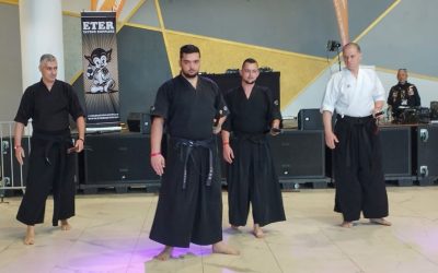 Kenjutsu la Timișoara: Arta SABIEI, între filosofie și spectacol