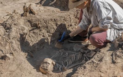 Amud 7, bebelușul Neanderthal dezvăluie: Au crescut mai repede decât oamenii!