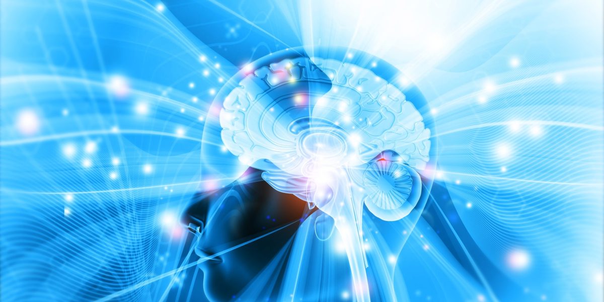 10 descoperiri revoluționare despre creier care ne schimbă înțelegerea minții