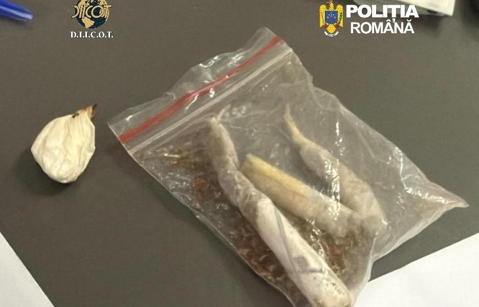 droguri-cluj.jpeg - ReactiveNews