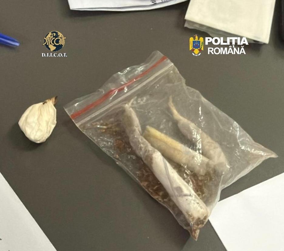 Procurorii DIICOT din Cluj au dispus reținerea a doi bărbați, în vârstă de 43 și 49 de ani, acuzați de trafic de droguri de mare risc, în cadrul unei anchete care a descoperit o rețea complexă de comercializare clandestină