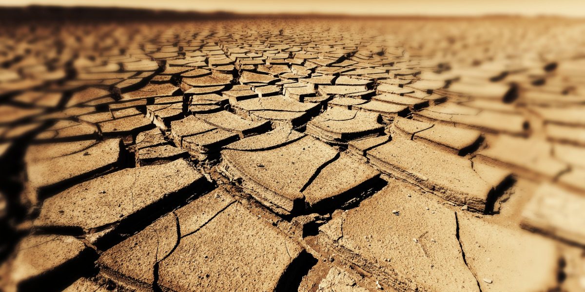 Seceta accelerează răspândirea bacteriilor rezistente la antibiotice, avertizează studiul