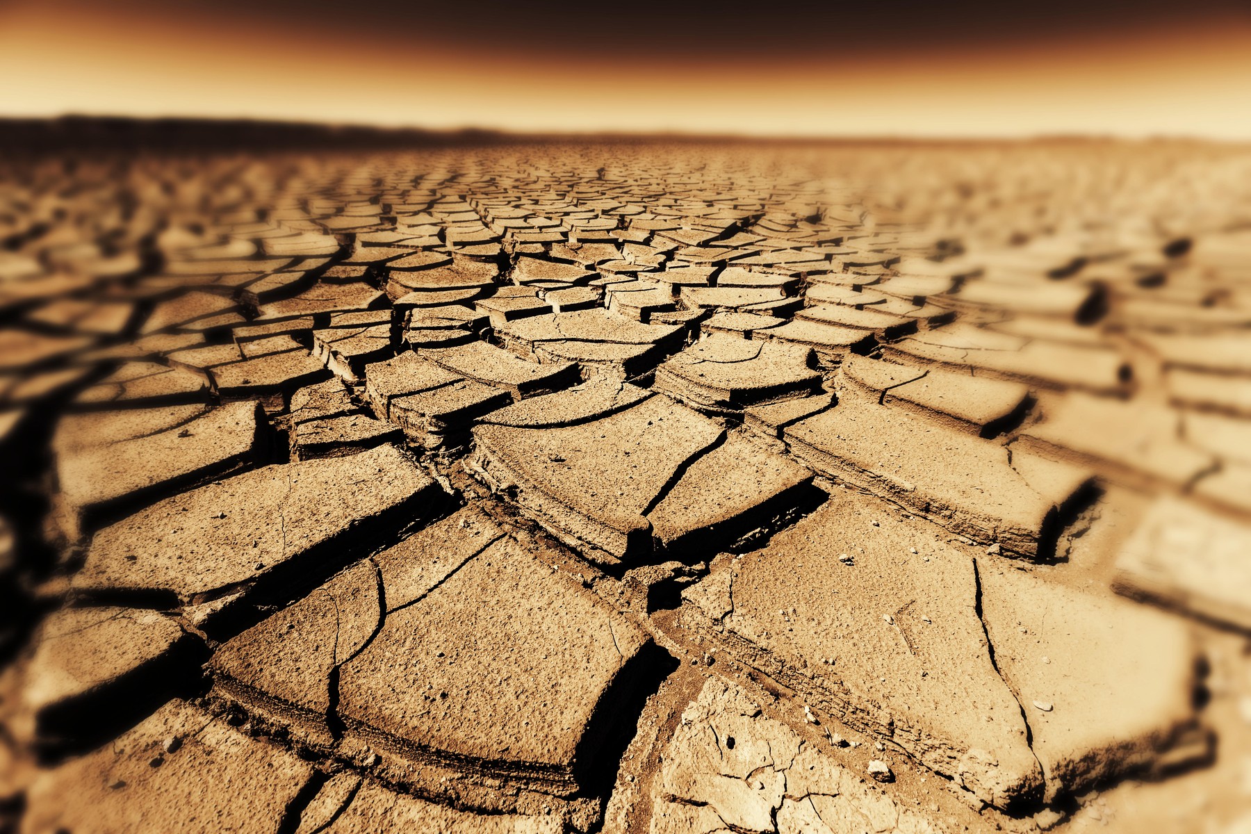 Seceta extremă stimulează apariția bacteriilor rezistente la antibiotice, avertizează un studiu recent Seceta intensă și prelungită care afectează România și alte regiuni din Europa pare să aibă efecte mai serioase decât cele vizibile în mod obișnuit, precum secarea râurilor sau reducerea resurselor de apă potabilă