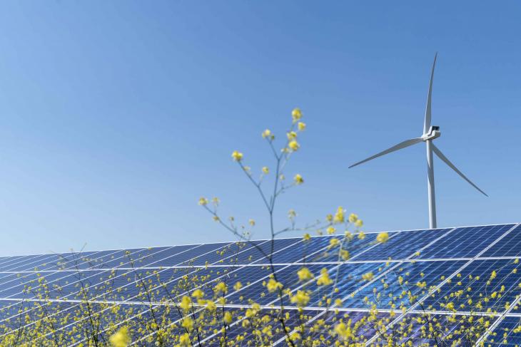 eoliene-panouri-solare-EDP-Renewables-Sursa-foto-edpr.com_.jpg - ReactiveNews