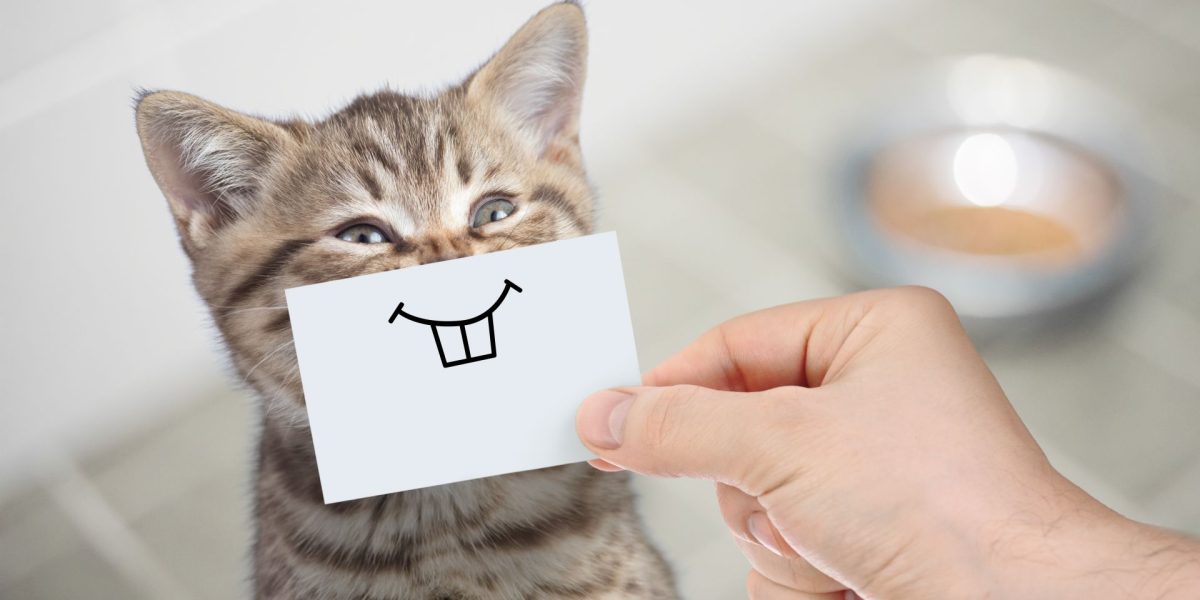 Umorul, cheia pentru o bătrânețe sănătoasă și fericită