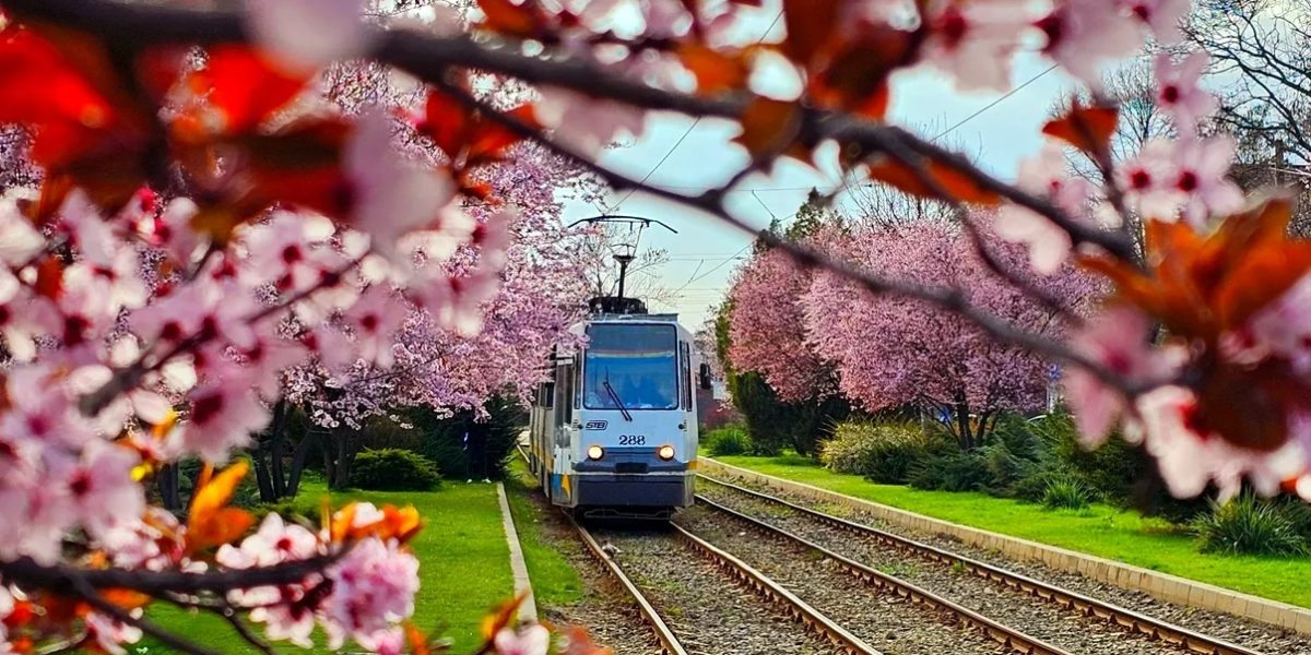 Cele mai importante evenimente din București pe care trebuie să le pui în calendar