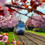 Cele mai importante evenimente din București pe care trebuie să le pui în calendar