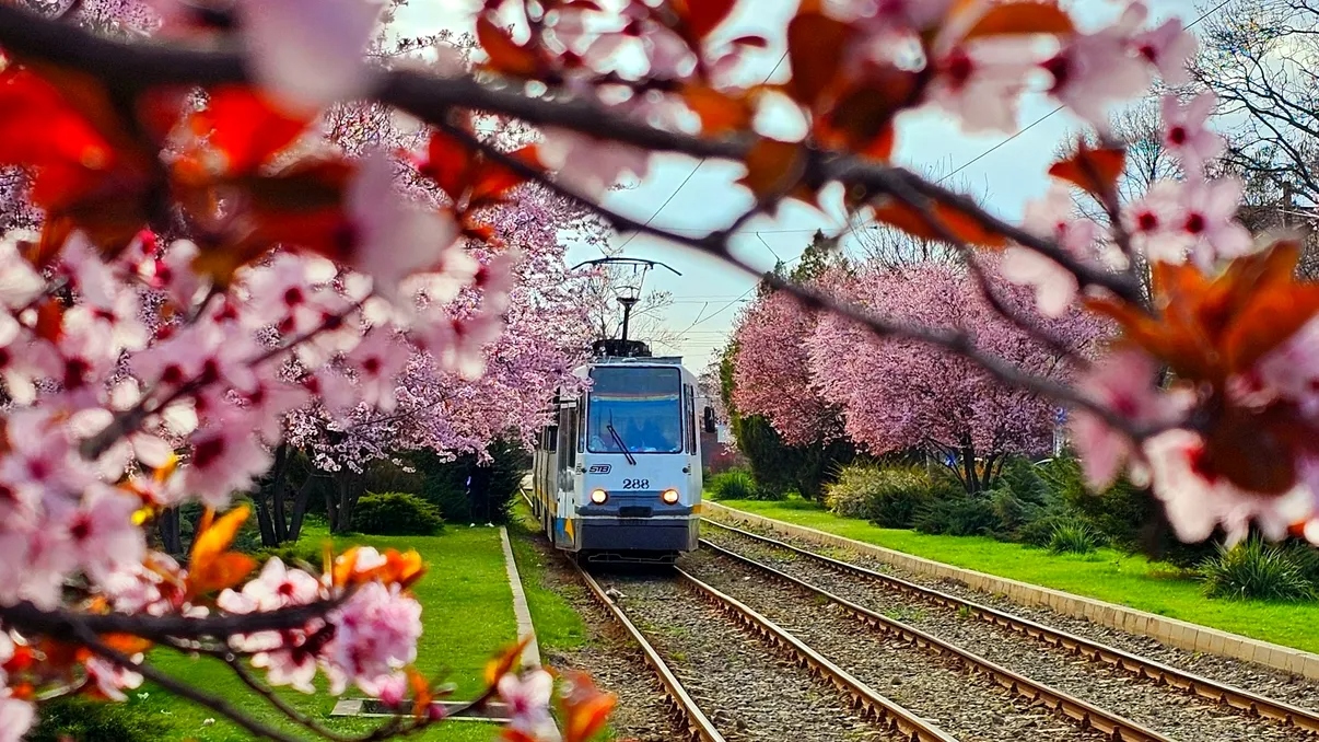 În aprilie, Bucureștiul devine mai activ din punct de vedere cultural, cu o serie de evenimente și expoziții care merită urmărite