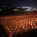 Au ars 40.000 de euro ca să scape pomii de îngheț: Povestea fermierilor din Cluj