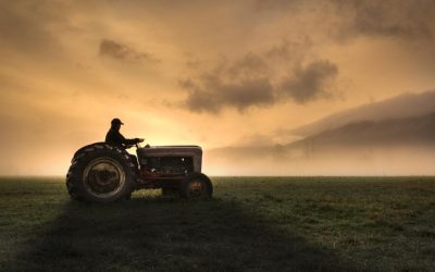 Fermierii, strigăt de alarmă: Guvernul și UE, „să acționeze ACUM”