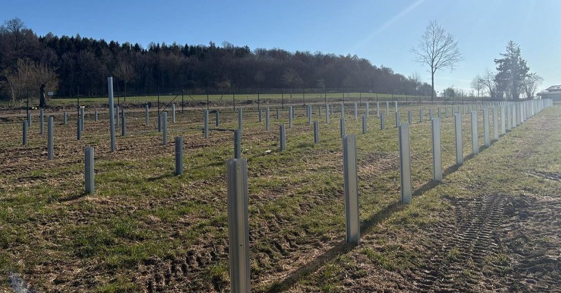 Românii de la Parapet construiesc un parc fotovoltaic în Germania!