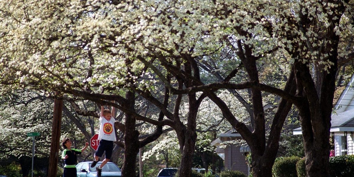 ghows-NC-93541d05-27fe-6fa9-e053-0100007ffa93-5ab71f2f.jpeg - ReactiveNews