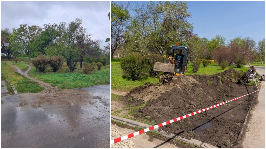 București: Parcul Tineretului, gazda primei grădini de ploaie din Capitală