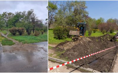 București: Parcul Tineretului, gazda primei grădini de ploaie din Capitală