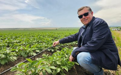 Criza la Șerban Holding: Interagroaliment, în insolvență după 26 de concedieri