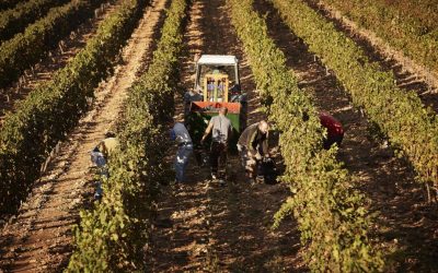 Spania: 500.000 de imigranți, cu statut legal. Cine se califică?