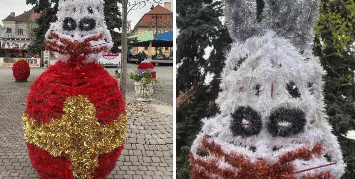 Iepurași horror în Baia Mare: „Te doare mintea” critică aspectul sinistru