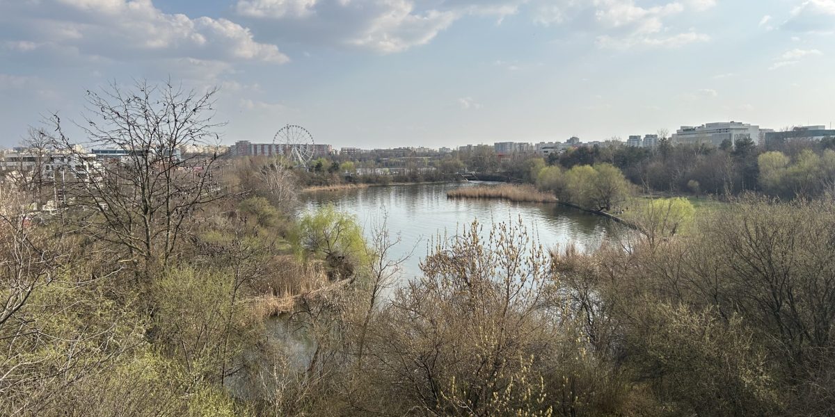 image00021-scaled.jpeg - ReactiveNews