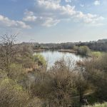 image00021-scaled.jpeg - ReactiveNews