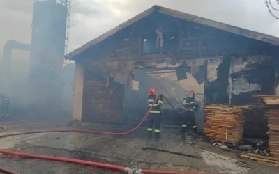 Incendiu puternic la un depozit de deșeuri lângă Pitești