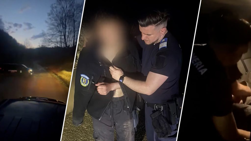 Ursul, vânătoare mortală în pădure: Tânăr urmărit, salvat de jandarmi