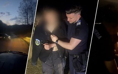 Ursul, vânătoare mortală în pădure: Tânăr urmărit, salvat de jandarmi