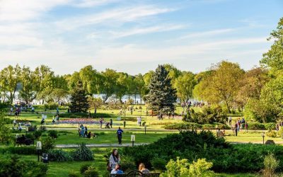 Festivaluri la București: O’Clock, Alpin Film și Hanami, distracție la final de săptămână