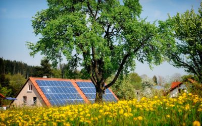 Lemnul revoluționar: captează energie solară… și noaptea!