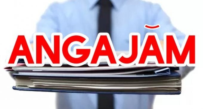 Angajări pe bandă în România: firmele, nebune după necalificați, șoferi și curieri