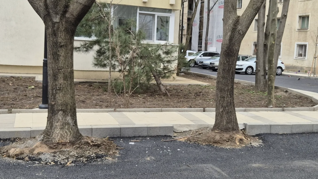 Hopincă, lovit de Garda de Mediu: parcări în grădinile blocurilor, amendă drastică