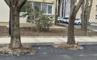 Hopincă, lovit de Garda de Mediu: parcări în grădinile blocurilor, amendă drastică