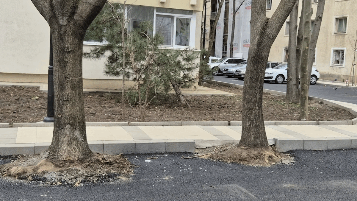 Hopincă, lovit de Garda de Mediu: parcări în grădinile blocurilor, amendă drastică