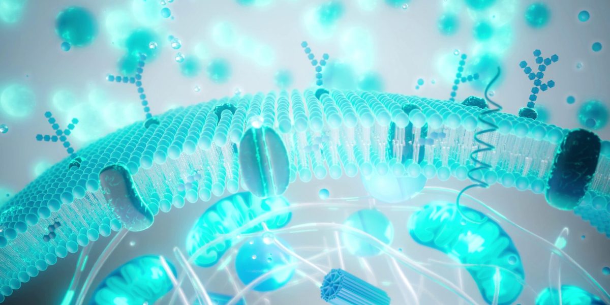 longevitatea-imbatranire-shutter_descopera-scaled.jpg - ReactiveNews