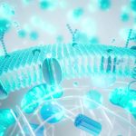 longevitatea-imbatranire-shutter_descopera-scaled.jpg - ReactiveNews