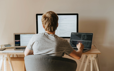 Milioane de germani, la vânătoare de trecut nazist prin genealogie