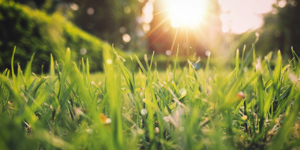 Vremea se schimbă: Încălzire, dar vijelii puternice în România