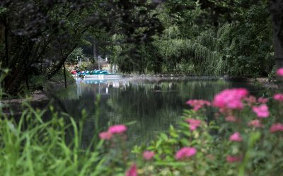 Vreme instabilă cu rafale de vânt puternic și temperaturi moderate Vremea din următoarele zile se anunță a fi caracterizată de un vânt puternic din direcția nord-est, care va influența condițiile atmosferice în mare parte a țării