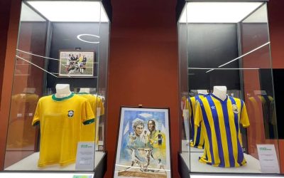 Acces liber la colecția Mircea Lucescu din București