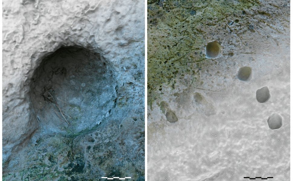 Descoperire ȘOC: Istoria armelor, rescrisă!