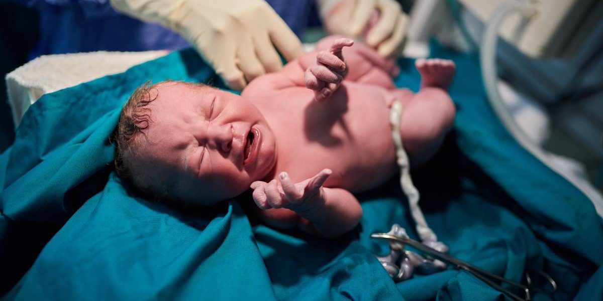 nou-nascut.jpg - ReactiveNews